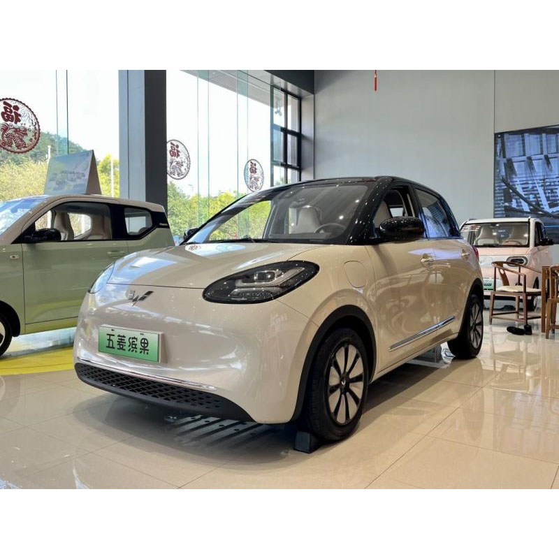 Why Should You Choose the Wuling Bingo?