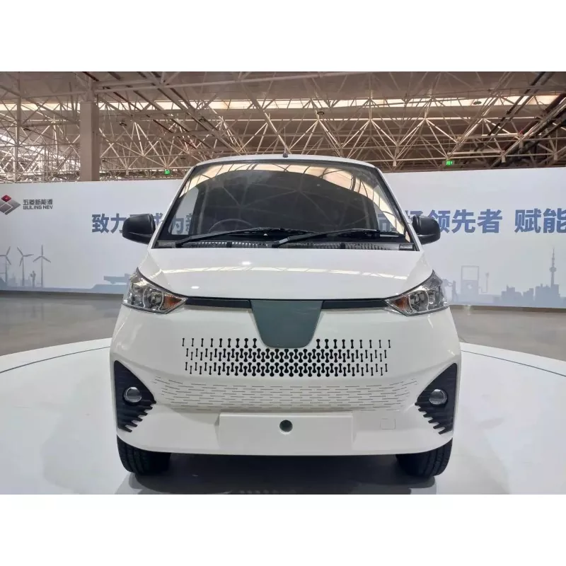 What Is an Electric Mini Van?