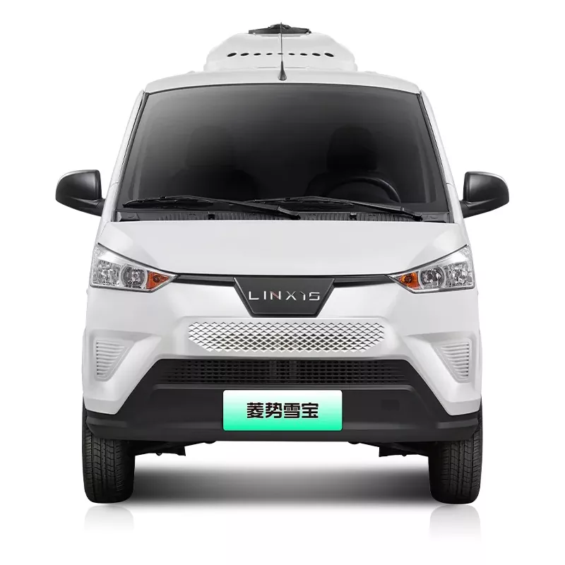 Electric Refrigerated Van