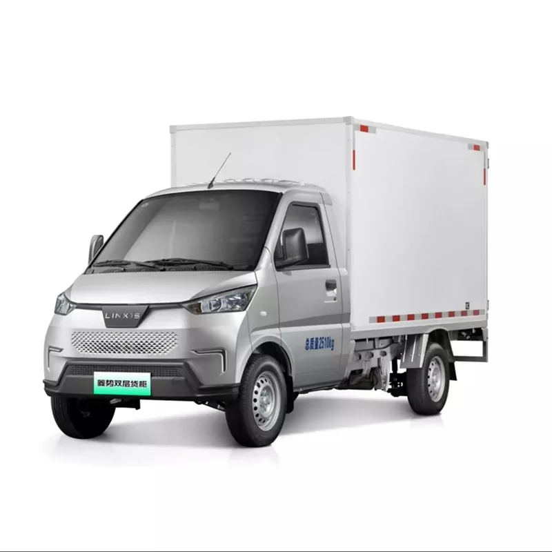 Two-Seater NEV Truck